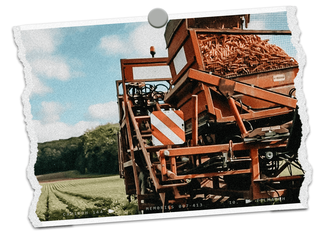 bio-marienhof_startseite_01