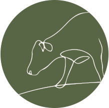 bremer-agrarkultur_home_icon_1 bremer-agrarkultur_home_icon_1