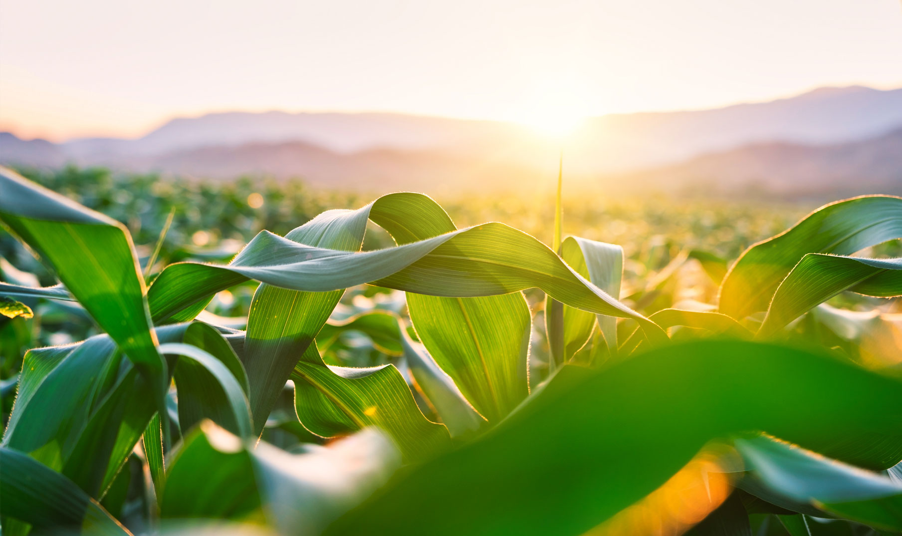 frieling_kontakt_header-foto