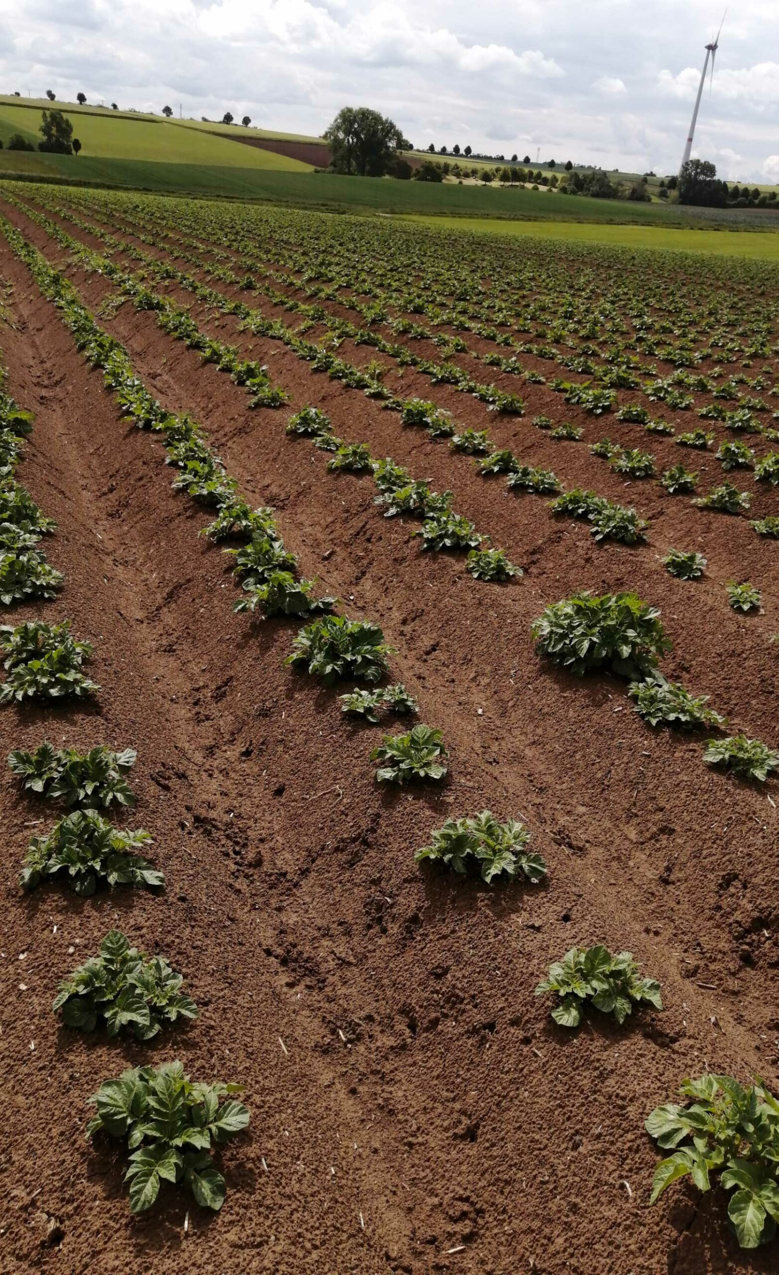 leinequelle_ackerbau_anbauplan