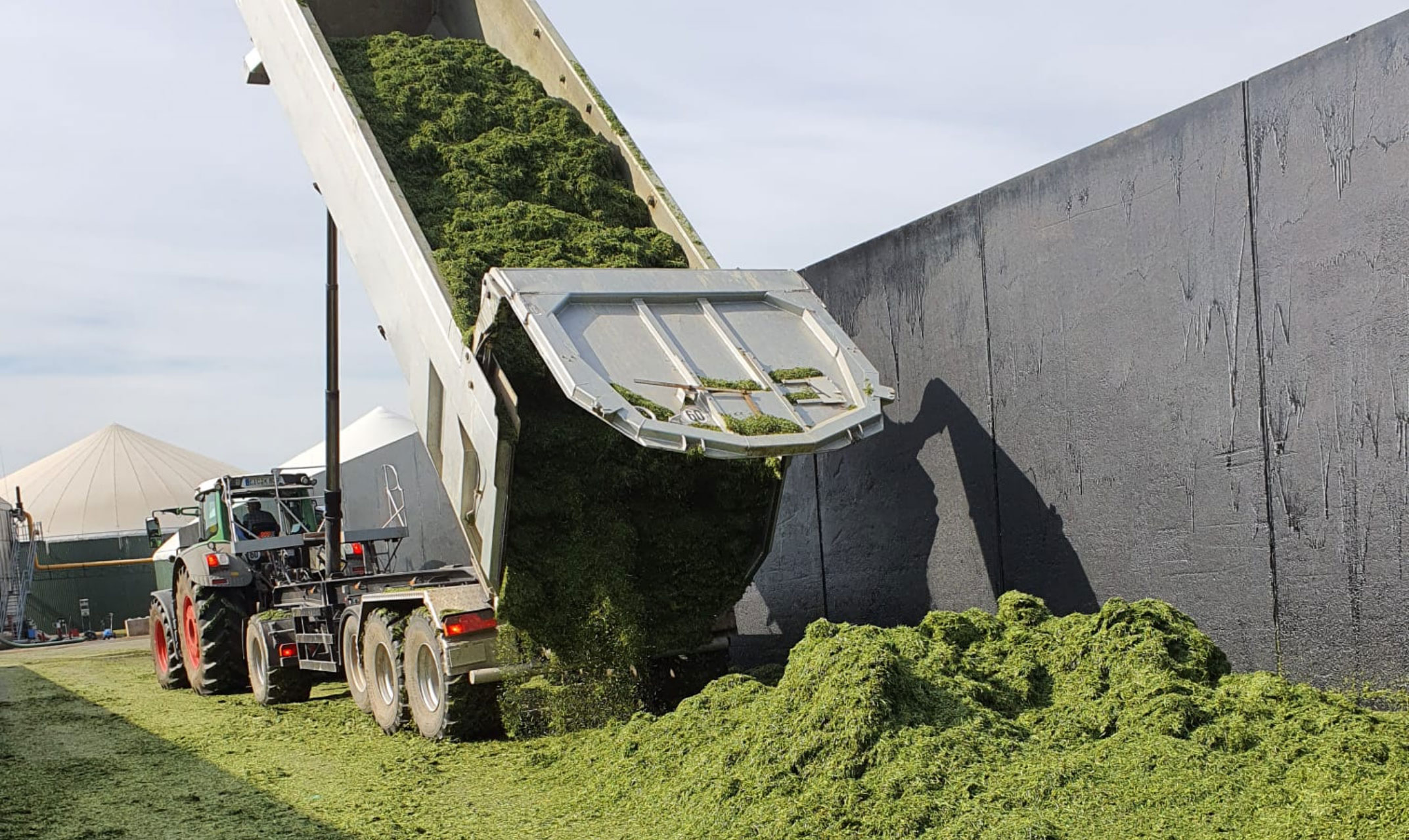 leinequelle_bioenergie_bild-1