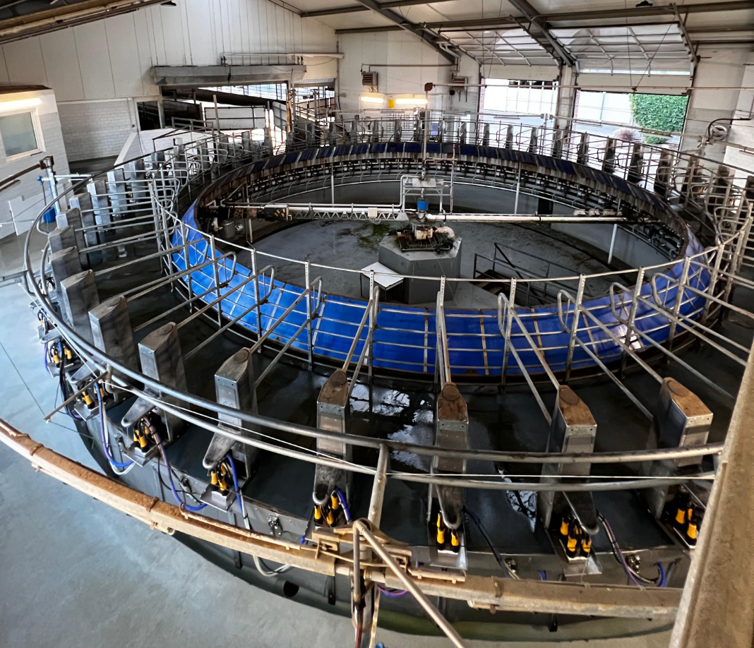 leinequelle_milchvieh_foto-5