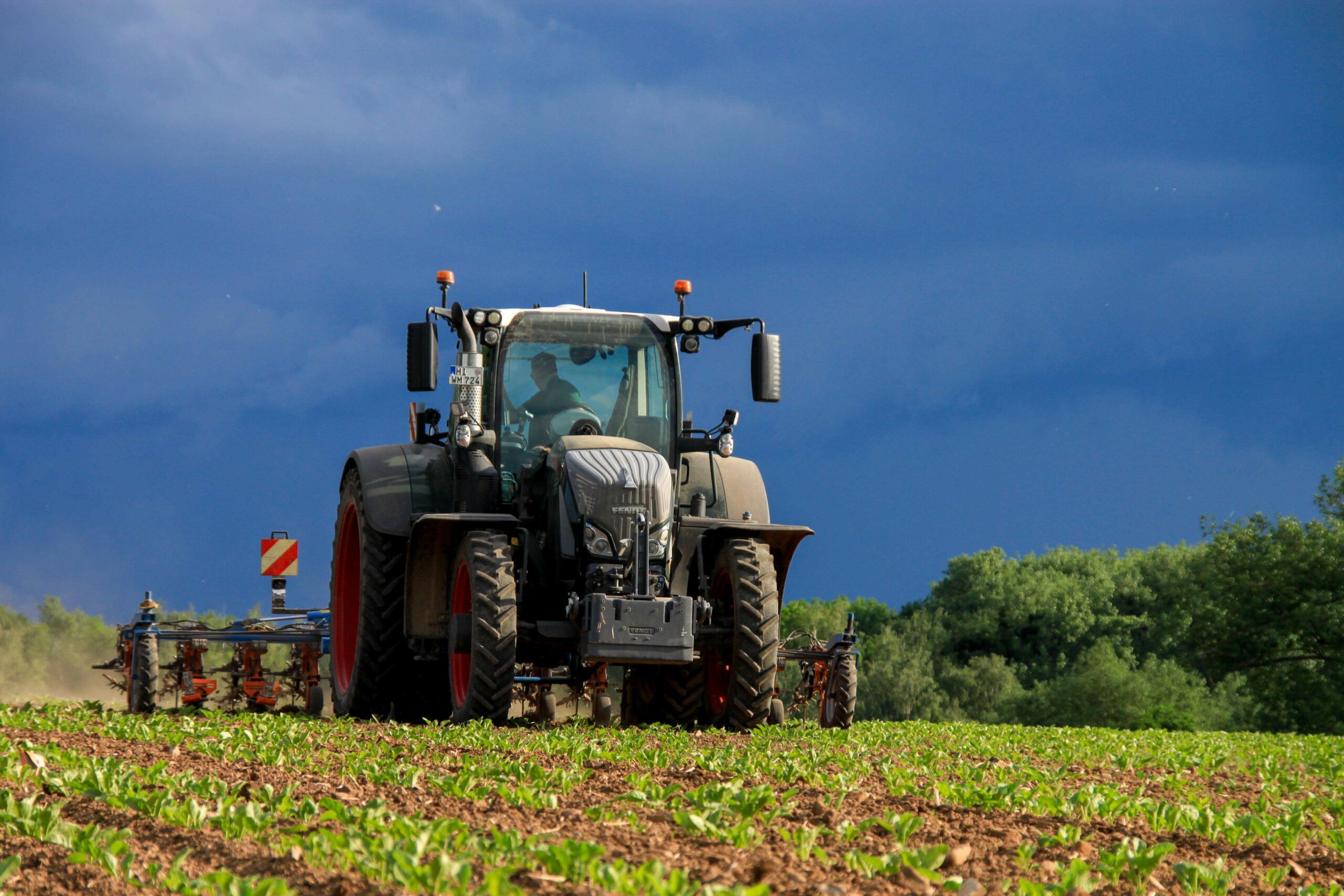 Mechanische Unkrautbekämpfung_
