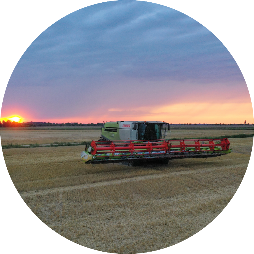 quellendorfer_startseite_historie