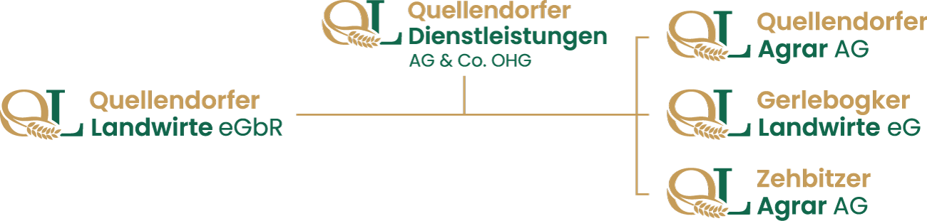 quellendorfer_unternehmen_logo_diagramm