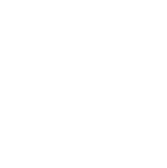 reifen-frickel_industrie-icon