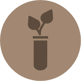 bodenproben_steinfeldt_icon_03